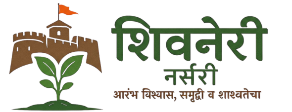 Shivneri Nursery